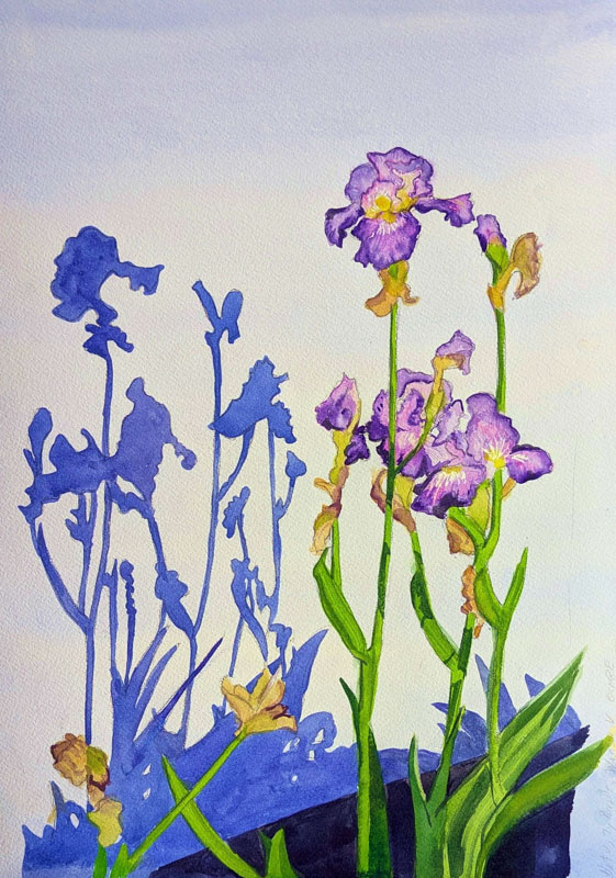 watercolor by Eileen Miryekta