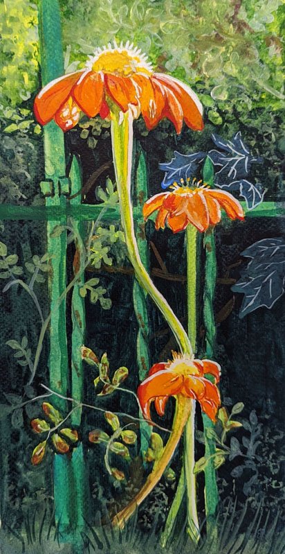 watercolor by Eileen Miryekta