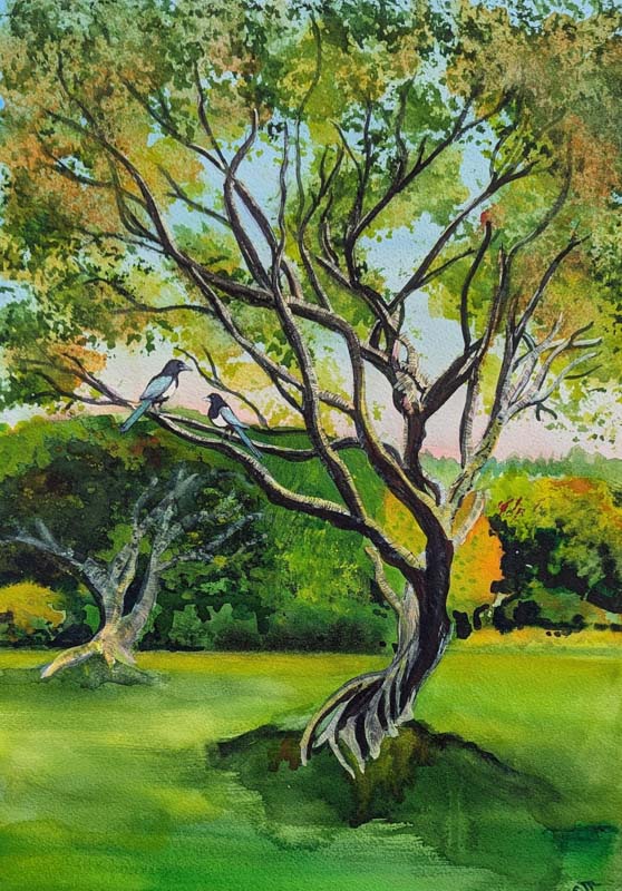 watercolor by Eileen Miryekta